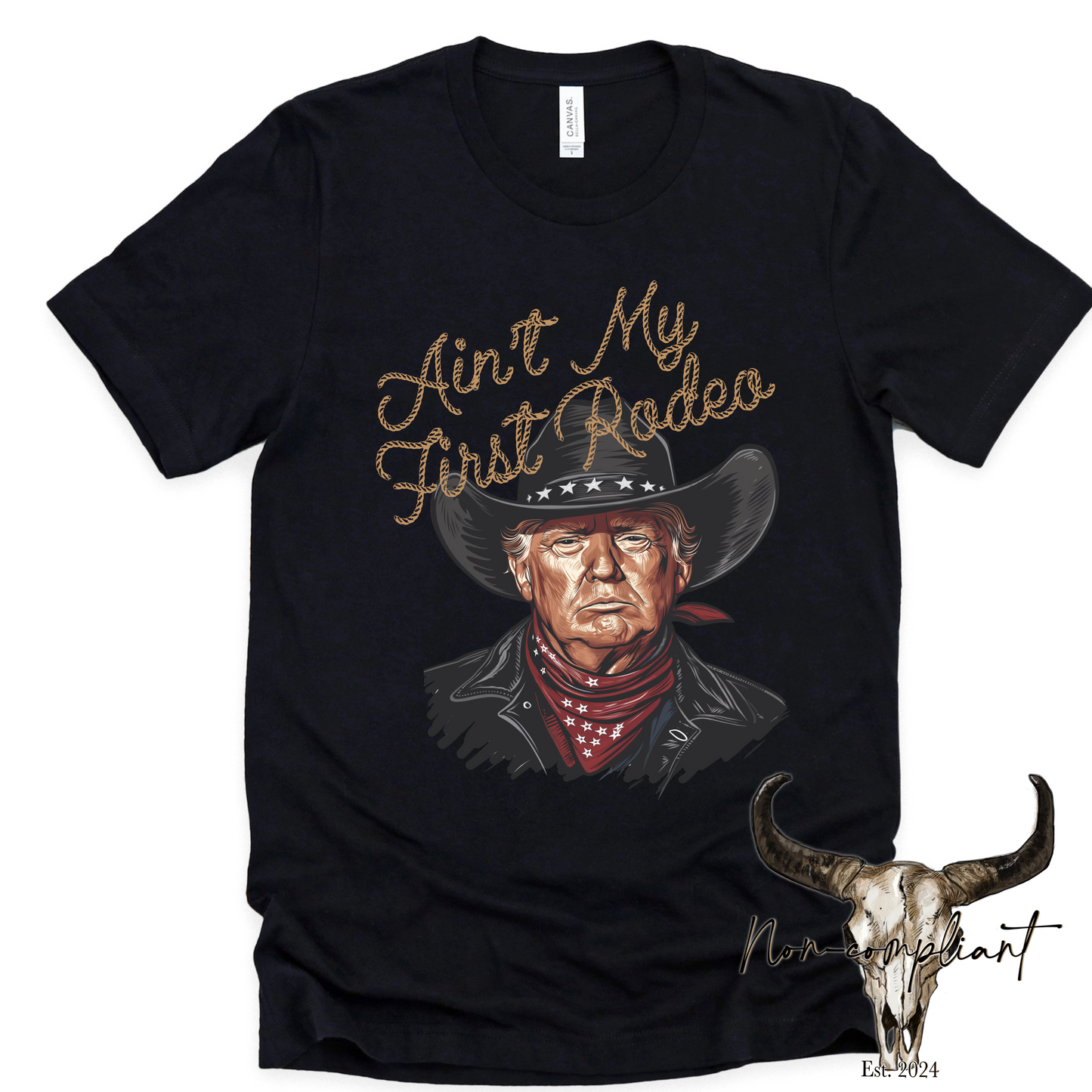 (NON-COMPLIANT) AIN’T MY FIRST RODEO