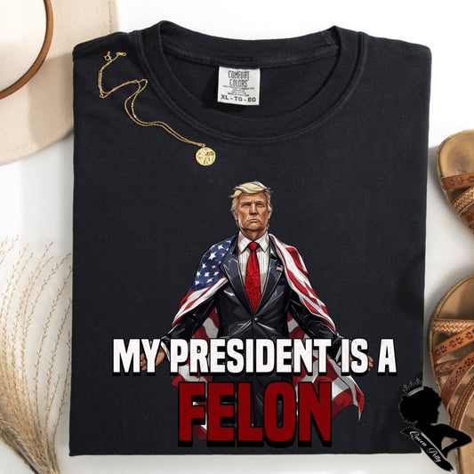 (QUEEN PETTY) MY PRESIDENT IS A FELON